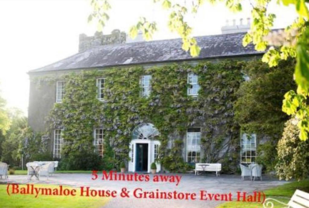 Ashlee Lodge, Shanagarry P25K6R6 Near Ballymaloe House & Garryvoe Hotel Экстерьер фото